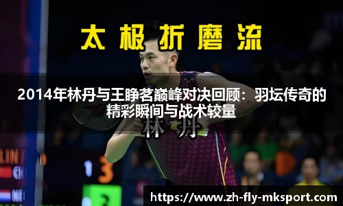 2014年林丹与王睁茗巅峰对决回顾：羽坛传奇的精彩瞬间与战术较量