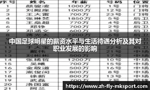 中国足球明星的薪资水平与生活待遇分析及其对职业发展的影响